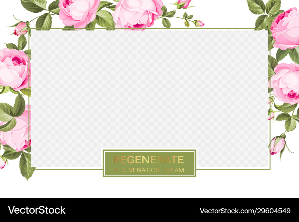 Cover design transparent product package window Cover design transparent product package window vector image