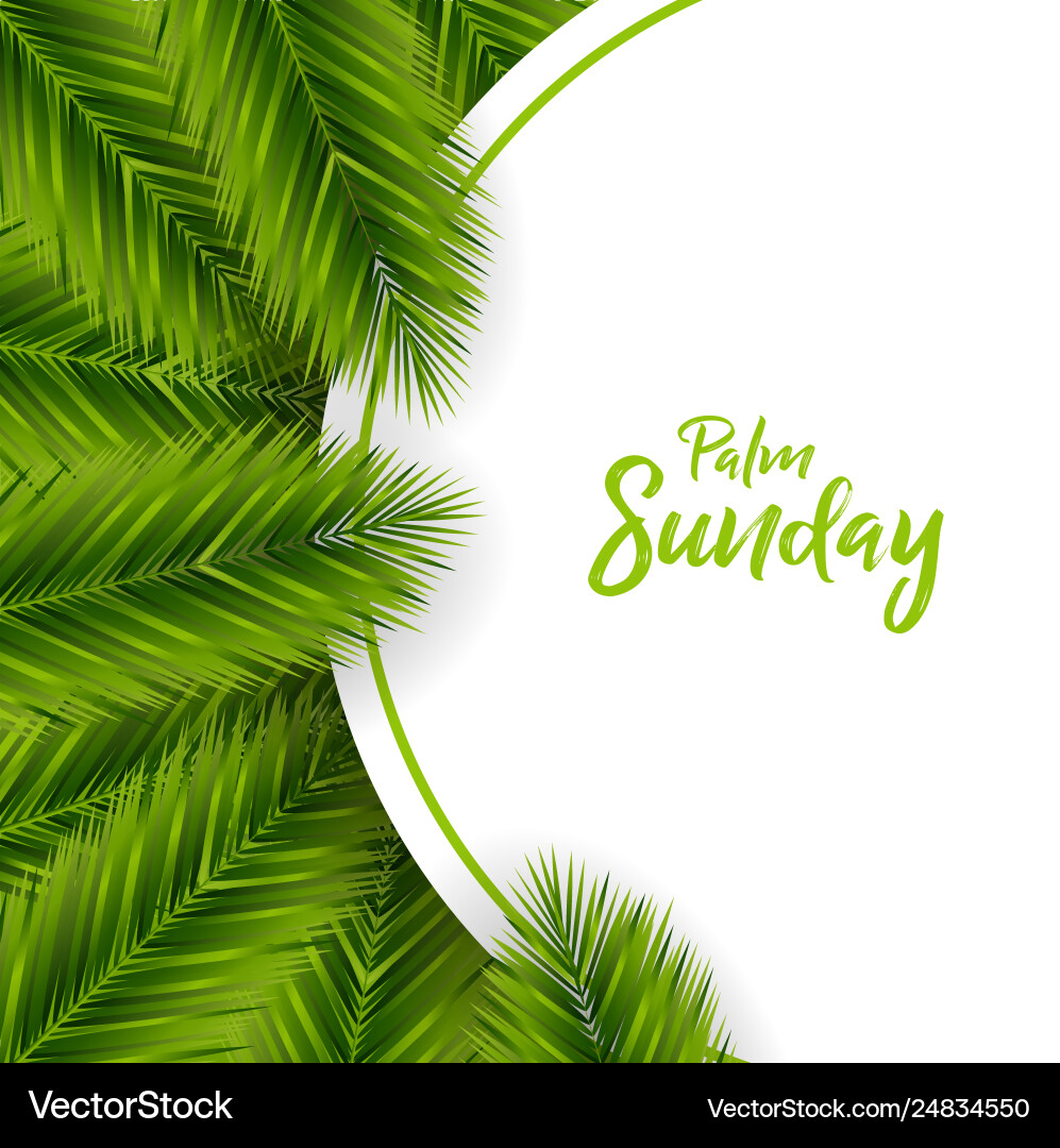 Palm Sunday Celebration Background Vector Image
