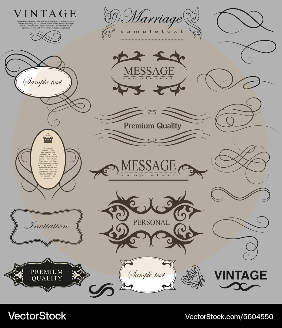 Set of calligraphic elements for design vector image