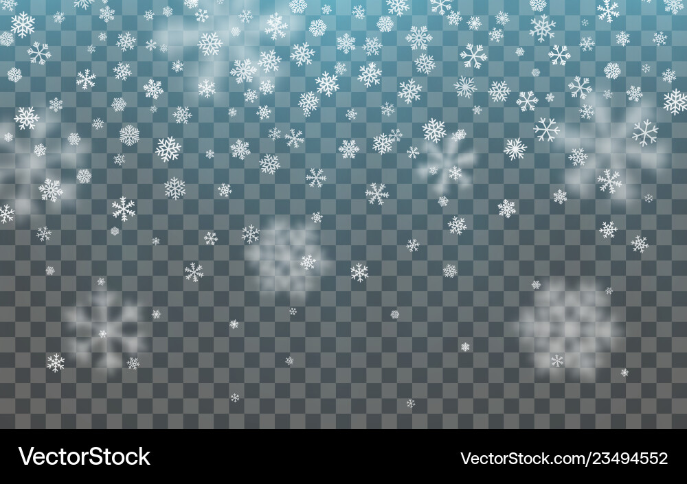 Christmas snow falling snowflakes on dark vector image