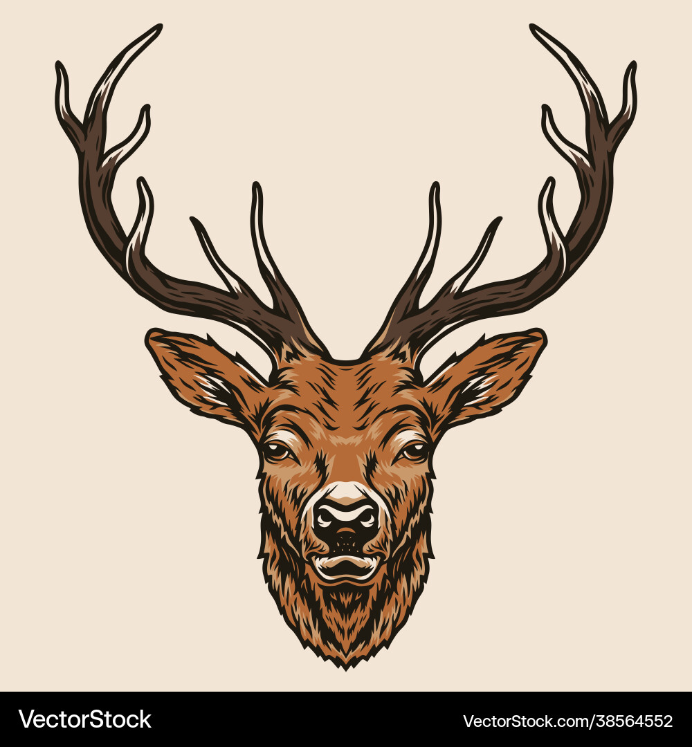 Deer Head Colorful Concept Royalty Free Vector Image Deer Head Colorful Concept Vector 38564552