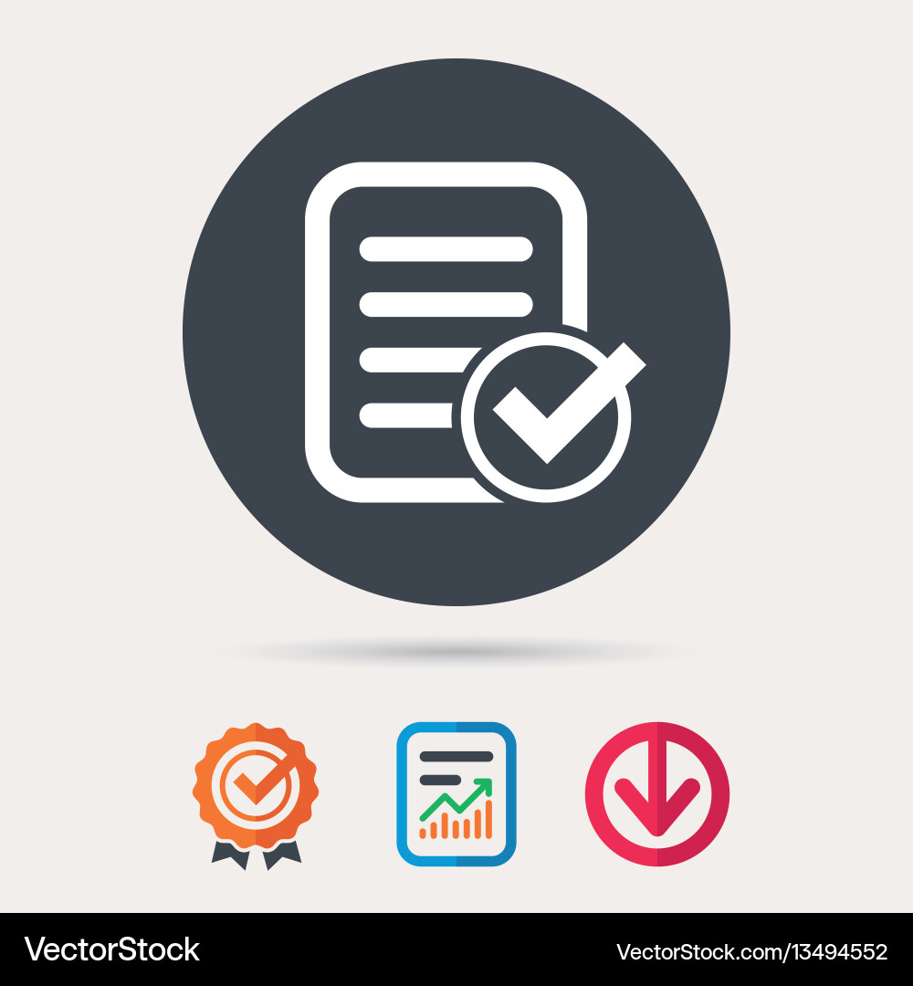 File selected icon document page with check vector image