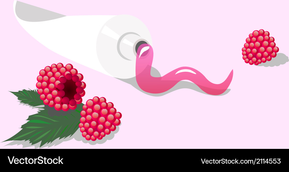 Toothpaste with raspberry Vector Image