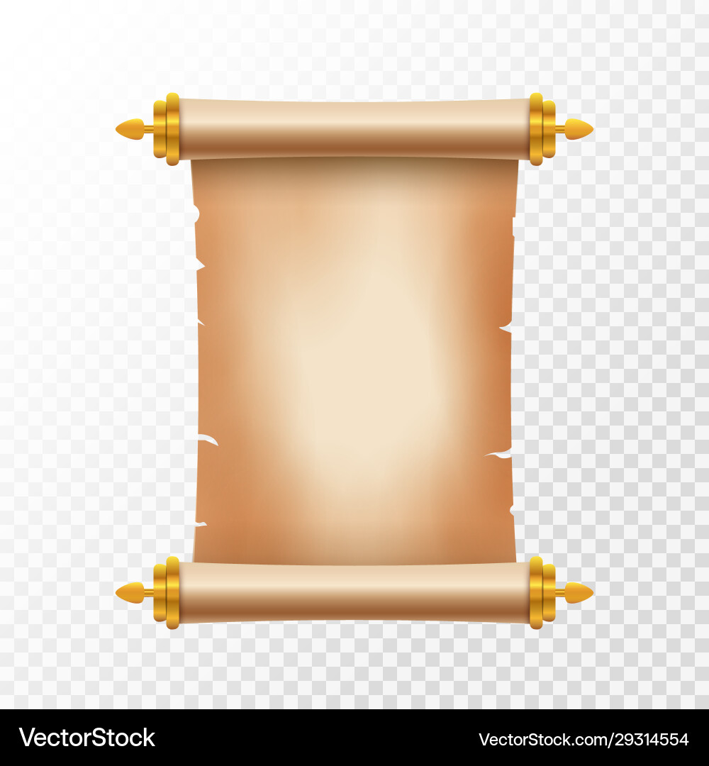Antique Scroll Paper with Text Space vector image
