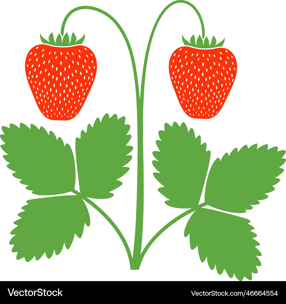 Strawberry Royalty Free Vector Image - VectorStock