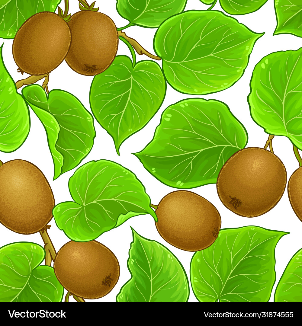 Kiwi branches pattern on white background Kiwi branches pattern on white background vector image