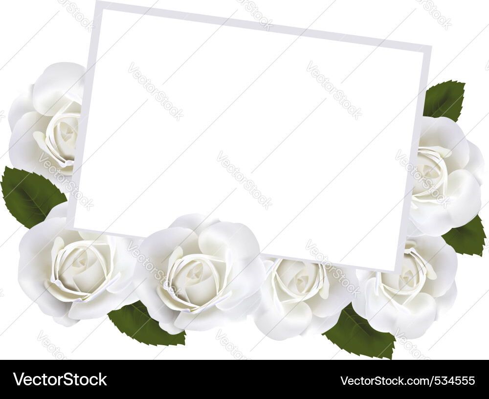Roses and white paper card ve Royalty Free Vector Image