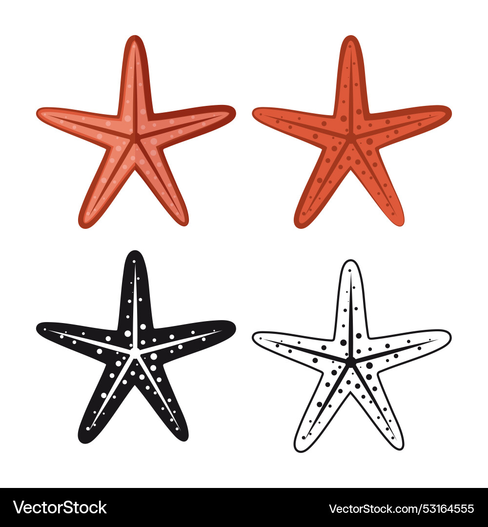 Set is a starfish Royalty Free Vector Image - VectorStock
