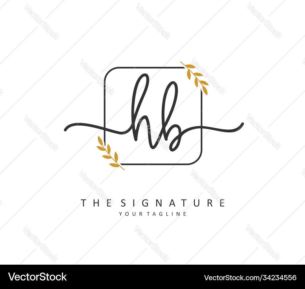 HB Initial Signature Logo Template Vector Image