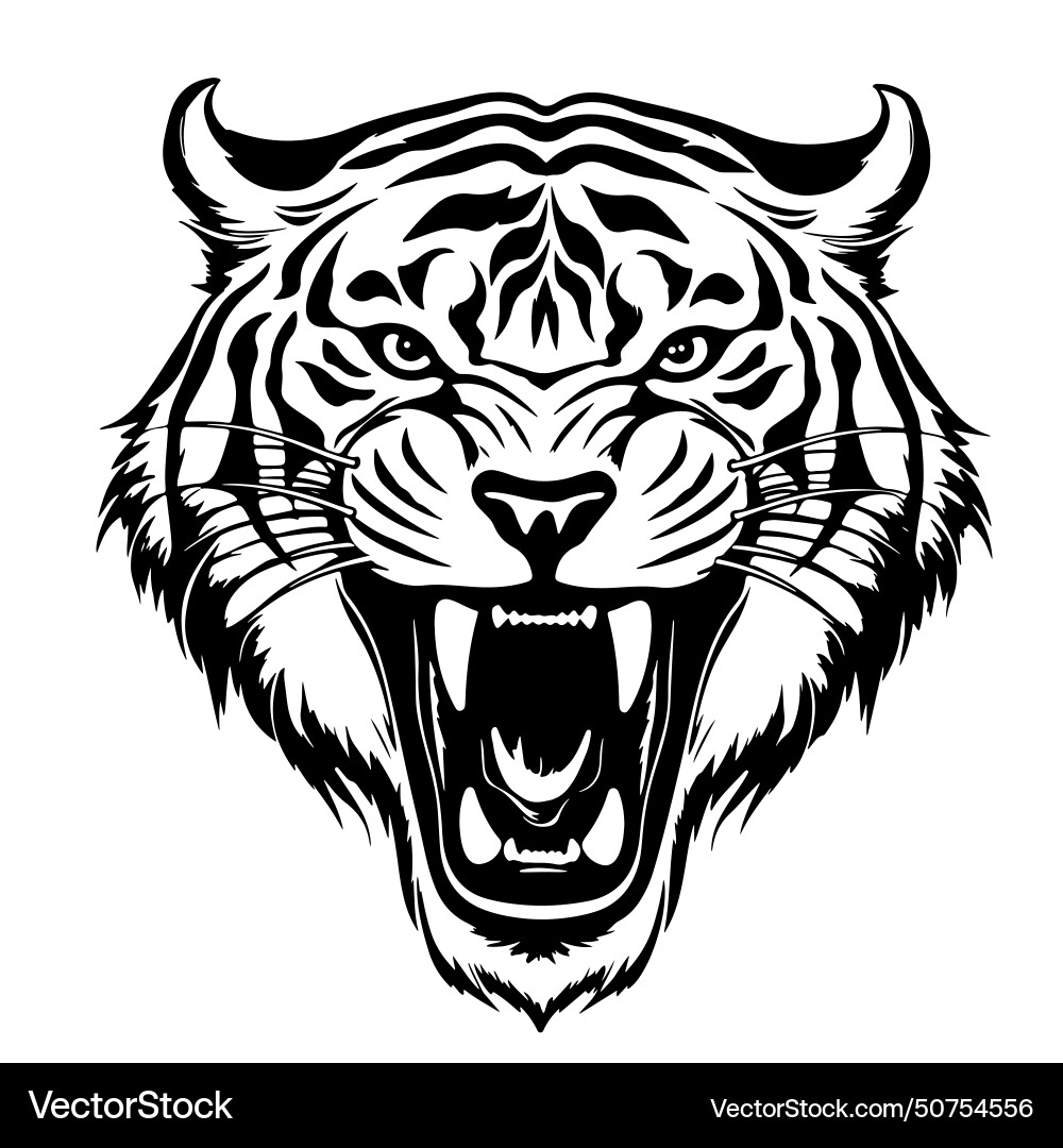 Head of a roaring tiger hand drawn sketch Head of a roaring tiger hand drawn sketch Vector Image