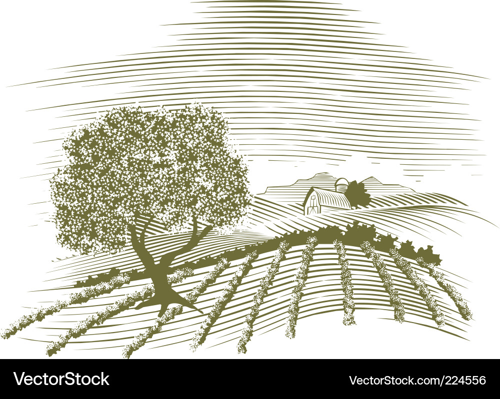 Ländliche Bauernlandschaft Vektorbild