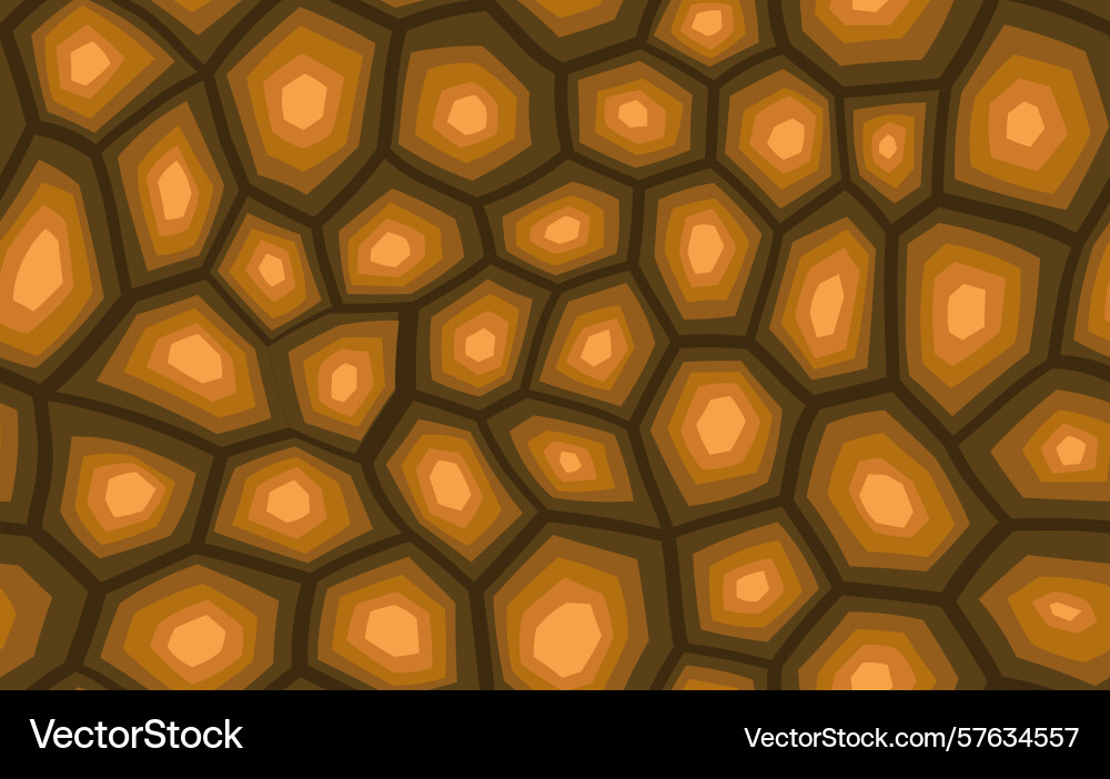 Abstract modern turtle shell seamless pattern Vector Image