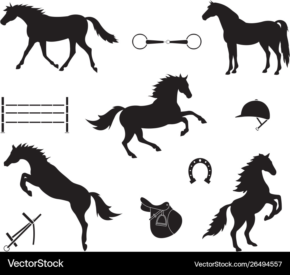 Horse and Equestrian Equipment Icons Vector Image