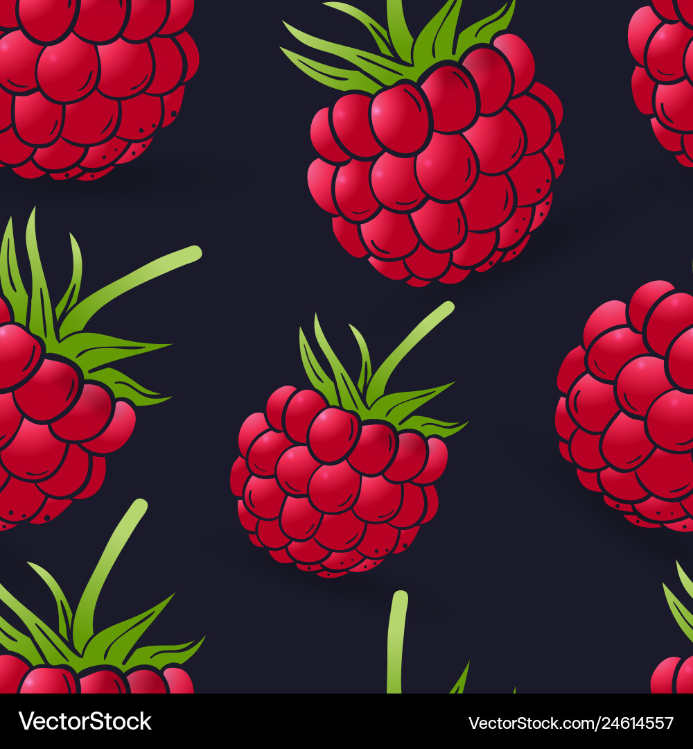 Seamless pattern of raspberry on dark blue Seamless pattern of raspberry on dark blue Vector Image