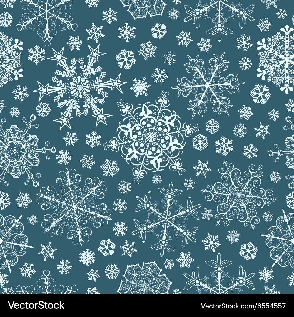 Winter Snowflake Pattern vector image