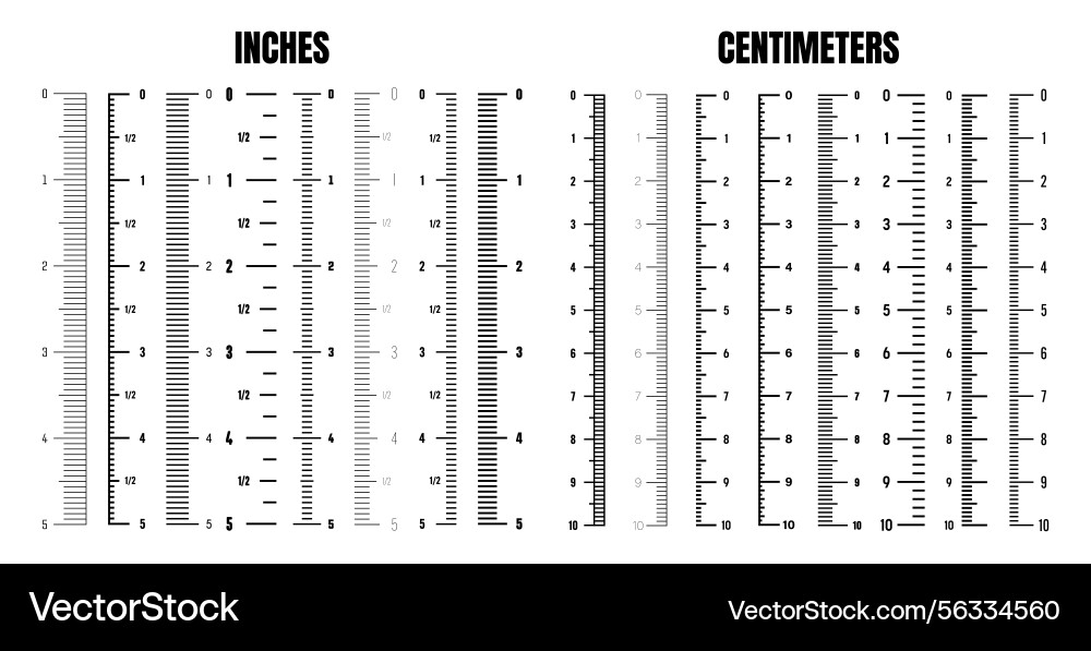 Vertical centimeter and inch scale for measuring Vector Image