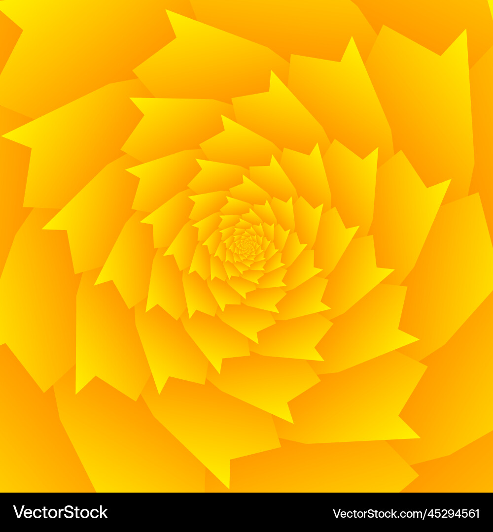 Beautiful abstract square pattern vector image