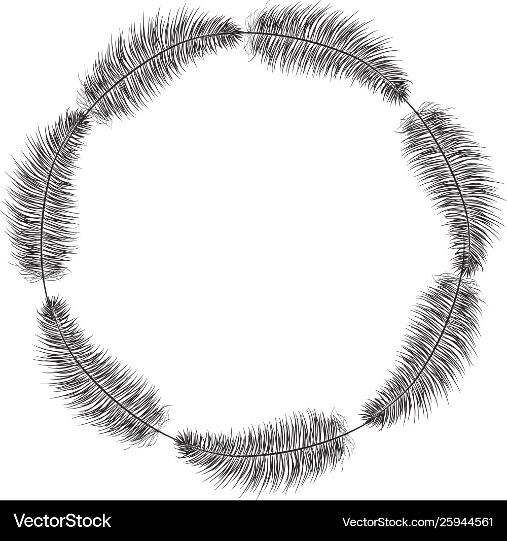 Circular bohemian frame with feathers vector image