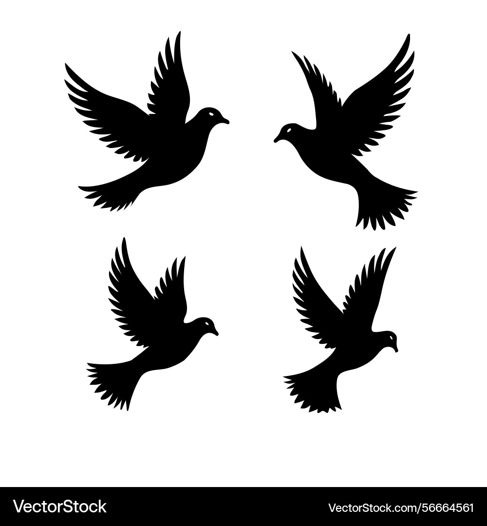 Dove with branch image Vector Image