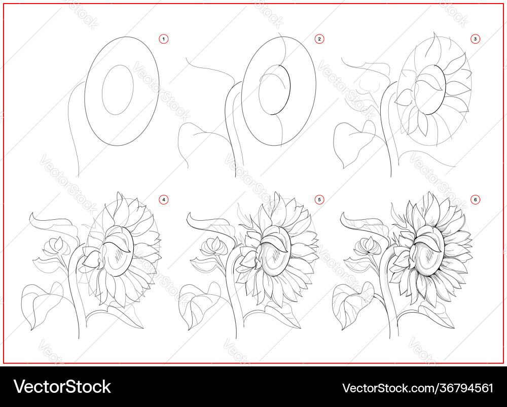 Page shows how to learn draw sketch Page shows how to learn draw sketch Vector Image