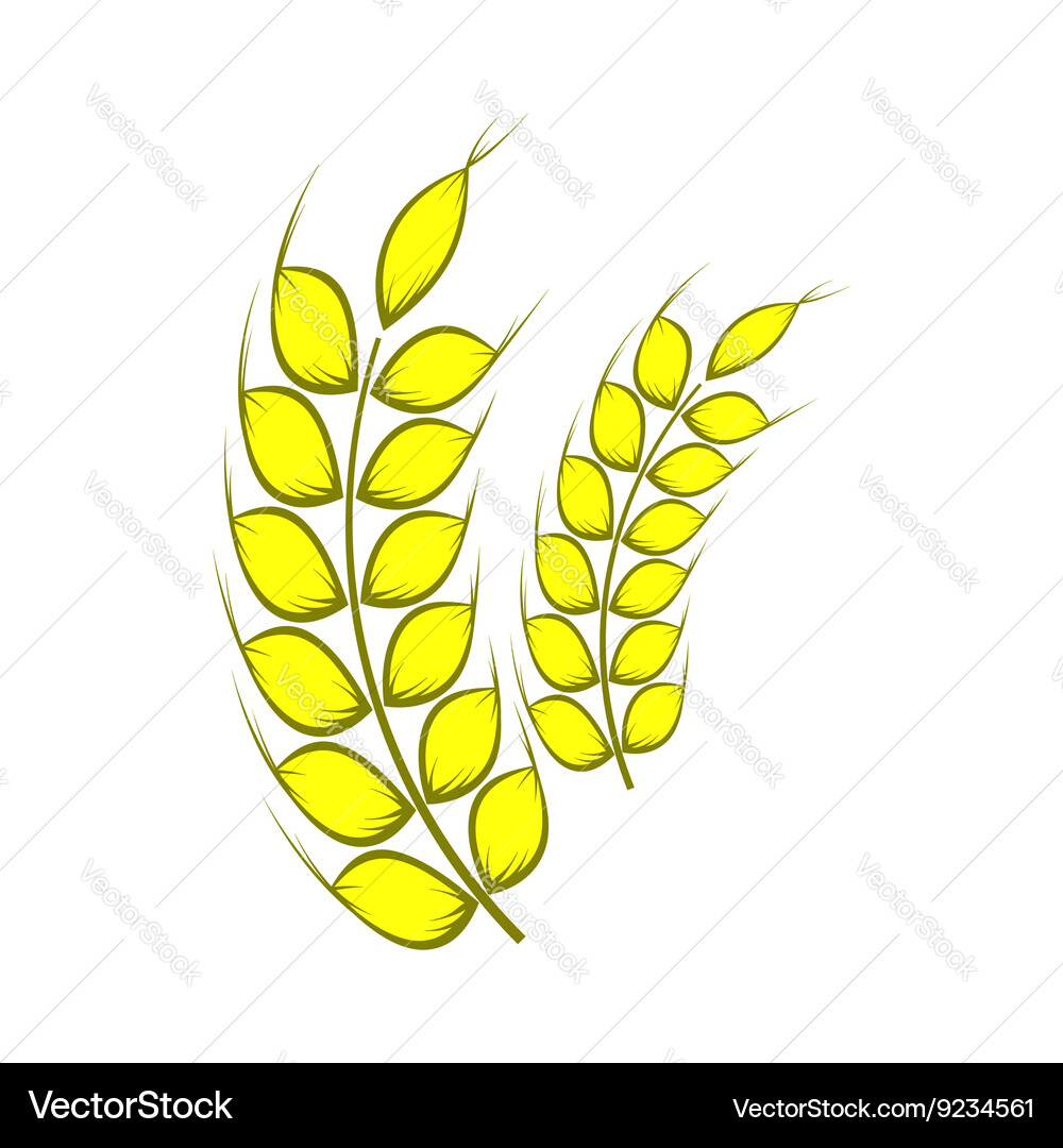 Two stalks of ripe barley icon cartoon style Vector Image