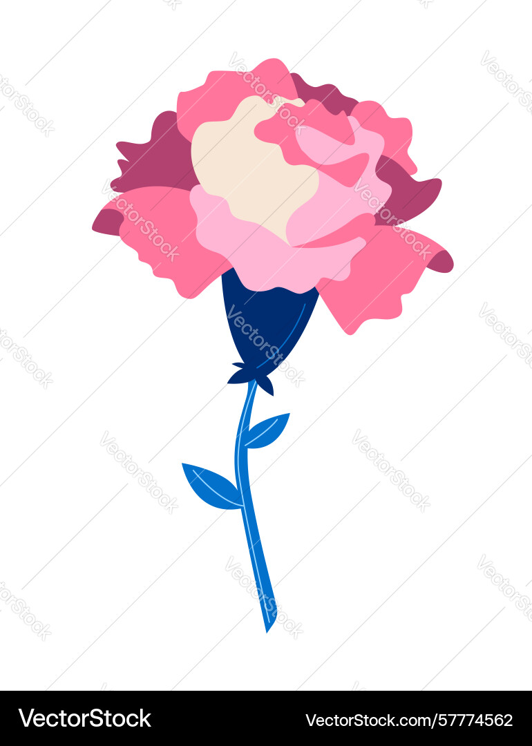 Carnation - colorful flat design style object Carnation - colorful flat design style object Vector Image