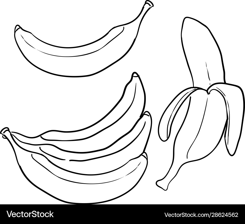 Doodle banana handdrawn style vector image