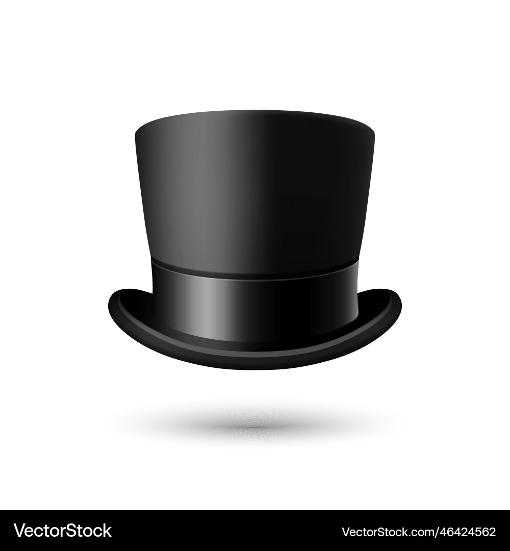 Elegant Black Top Hat vector image