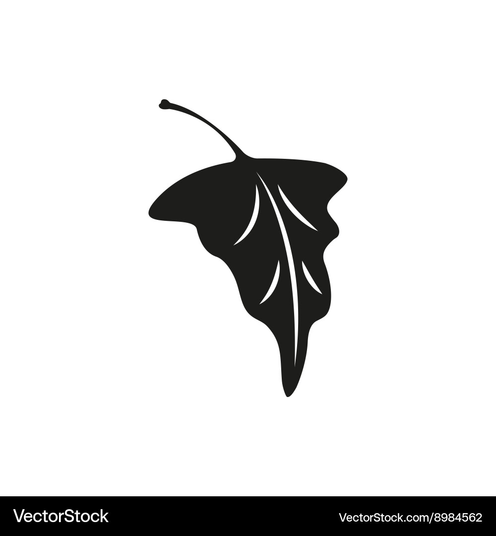 Grape leaf isolated on white background Vector Image