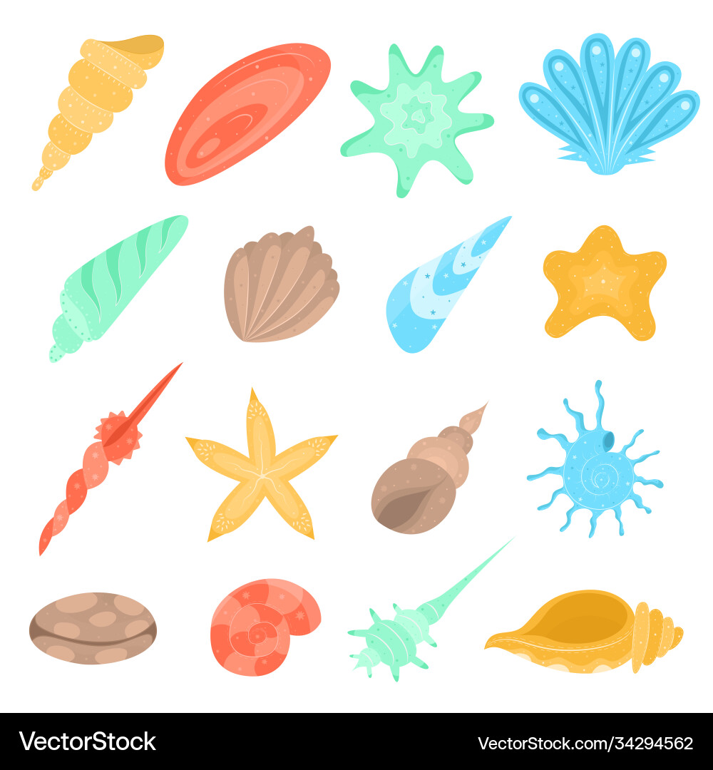 Set seashells Set seashells vector image