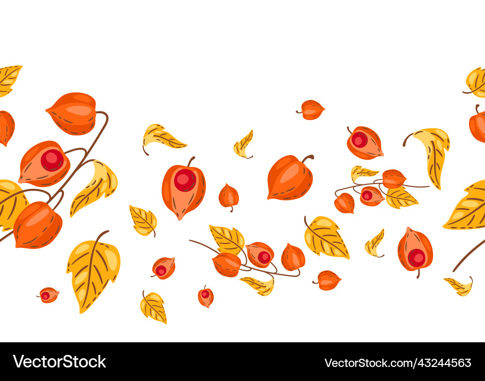 Seamless pattern of fesalis with berries image Seamless pattern of fesalis with berries image Vector Image