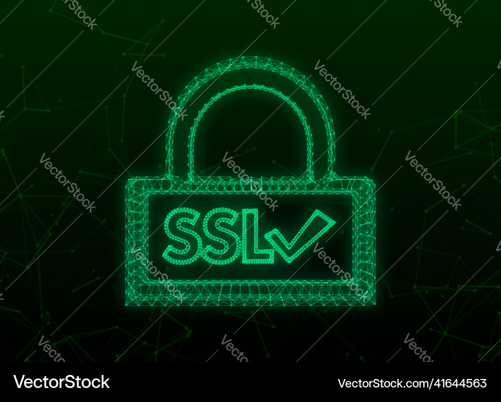 Secure internet connection ssl plexus icon Secure internet connection ssl plexus icon Vector Image