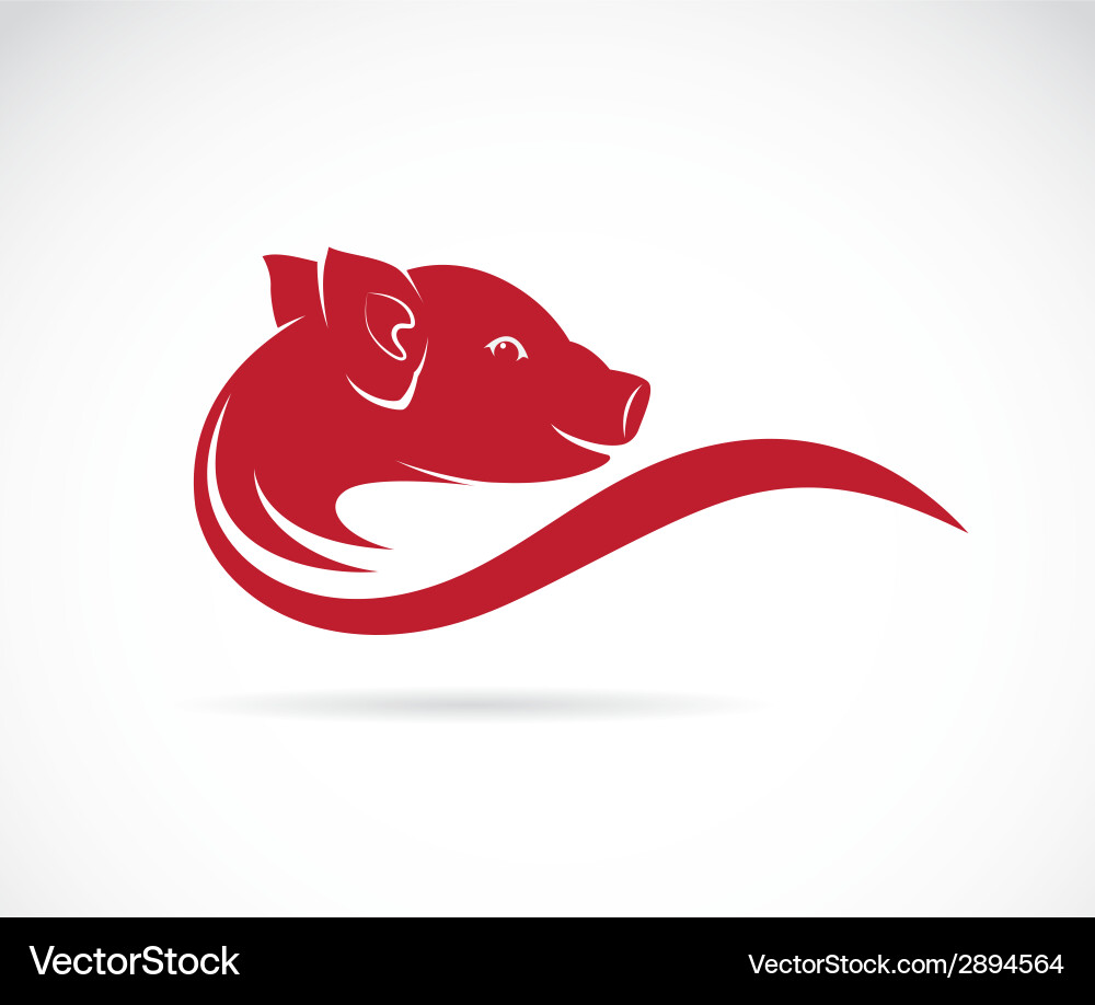 Cartoon Pig Illustration Vector Image