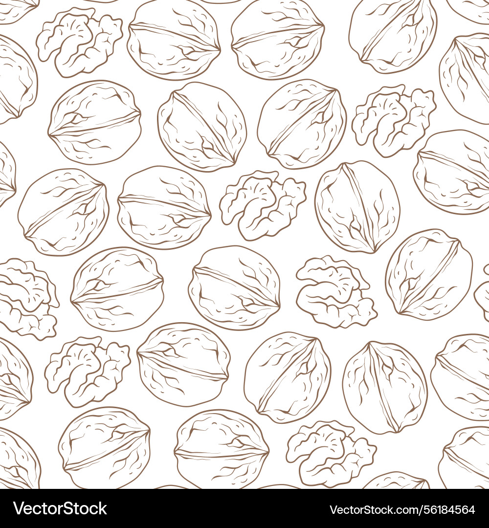 Seamless pattern with walnut line art Seamless pattern with walnut line art vector image