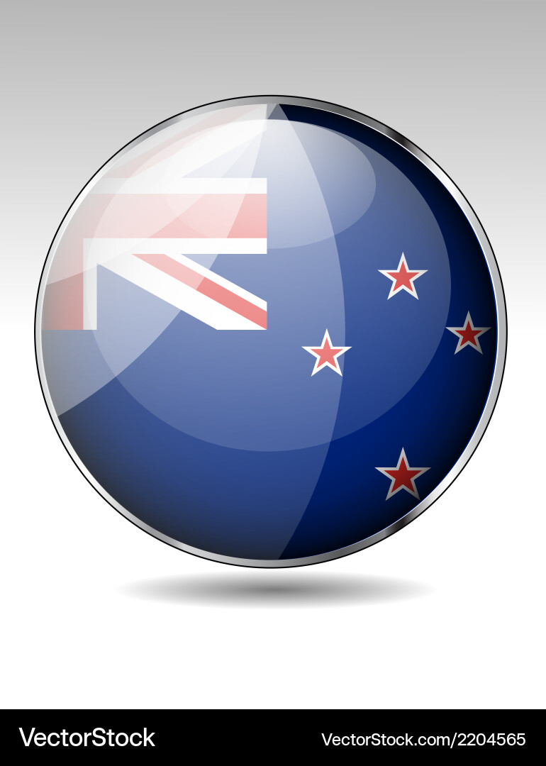 Flag button design elements Vector Image