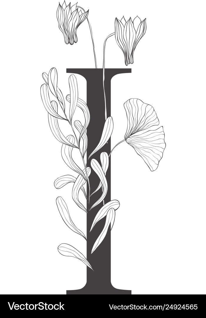 Floral botanische Alphabet Buchstaben mit Pflanzen Floral botanische Alphabet Buchstaben mit Pflanzen vektorbild
