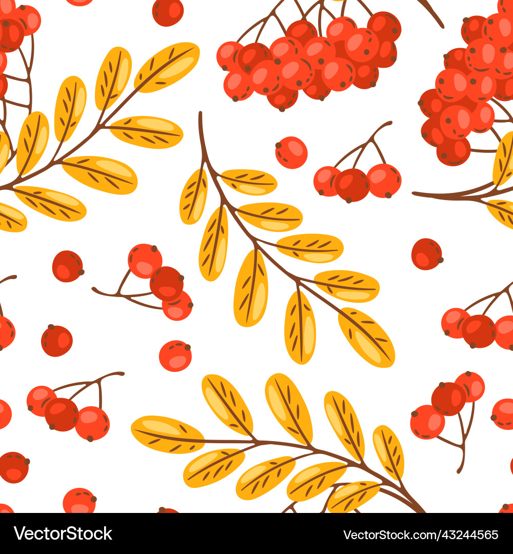 Seamless pattern of rowan with berries image Seamless pattern of rowan with berries image vector image
