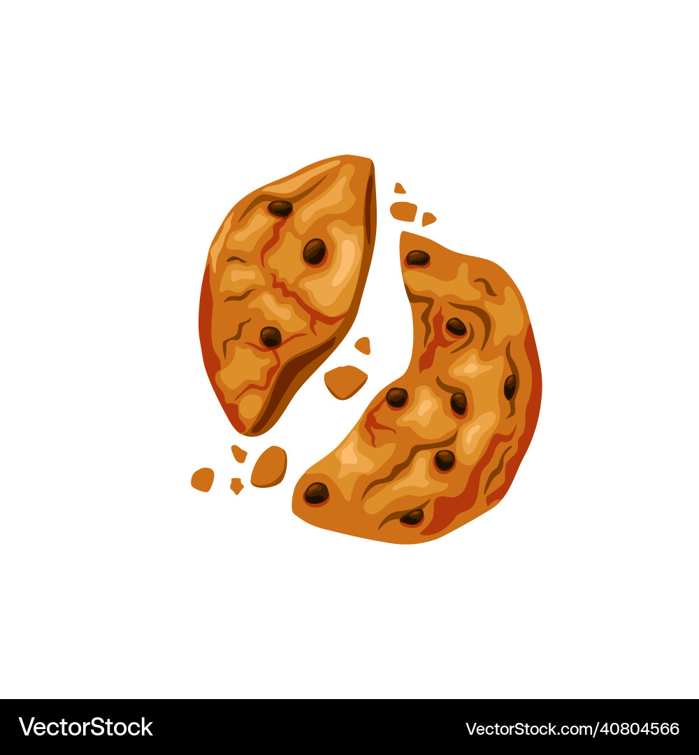 Cookies with chocolate chips broken in half Cookies with chocolate chips broken in half Vector Image