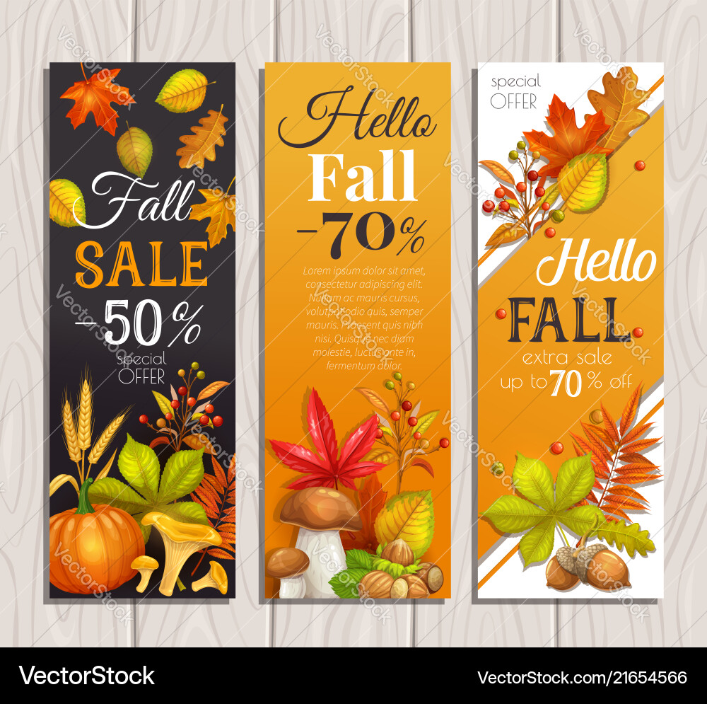 Seasonal autumn sale banners Seasonal autumn sale banners vector image