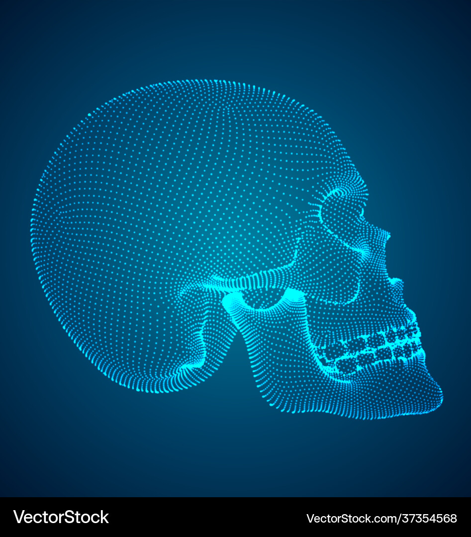 Set human skulls with square and triangular Vector Image