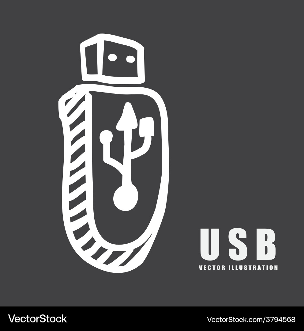 Usb connection Vector Image