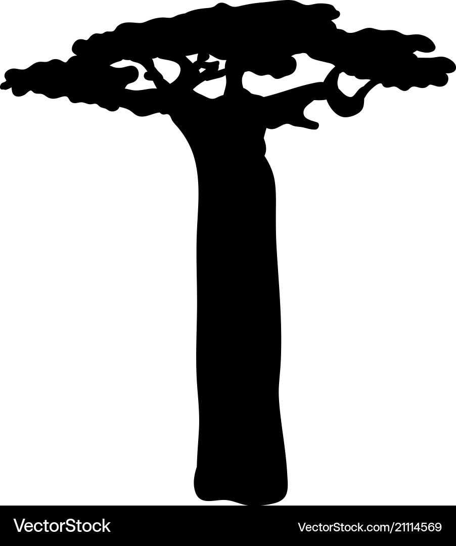Baobab Tree Silhouette Vector Image