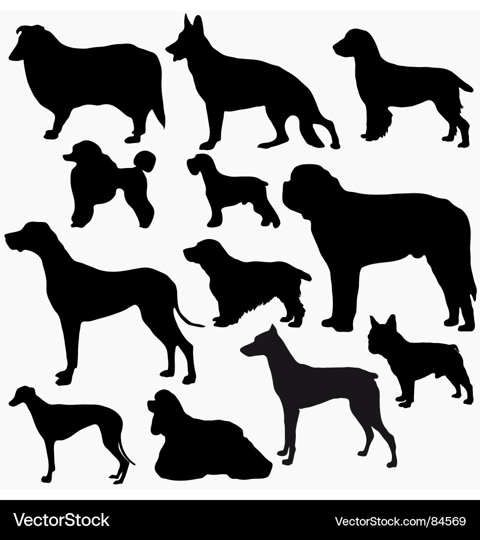 Hund Silhouettes Kollektion Vektorbild