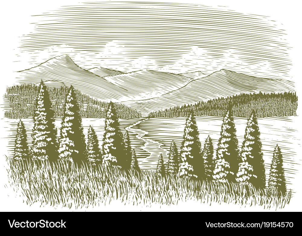 Mountain Stream Woodcut Vector Image