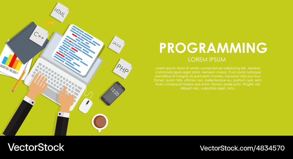 Programming coding concept flat background vector image
