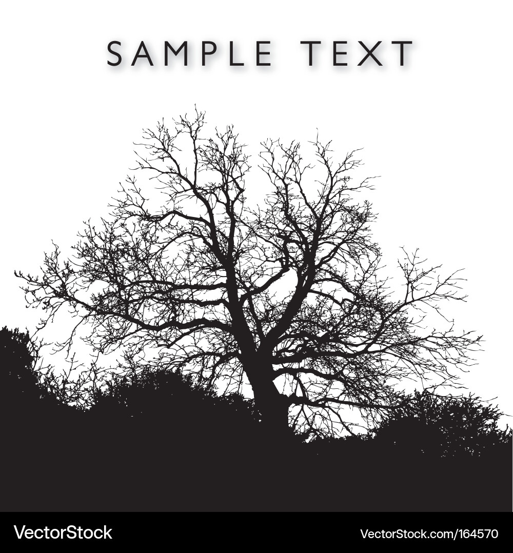 Silhouetted Tree Branches Vector Image