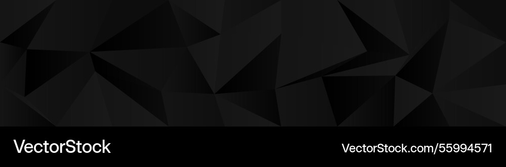 Abstract geometric chaos pattern with dark polygon vector image