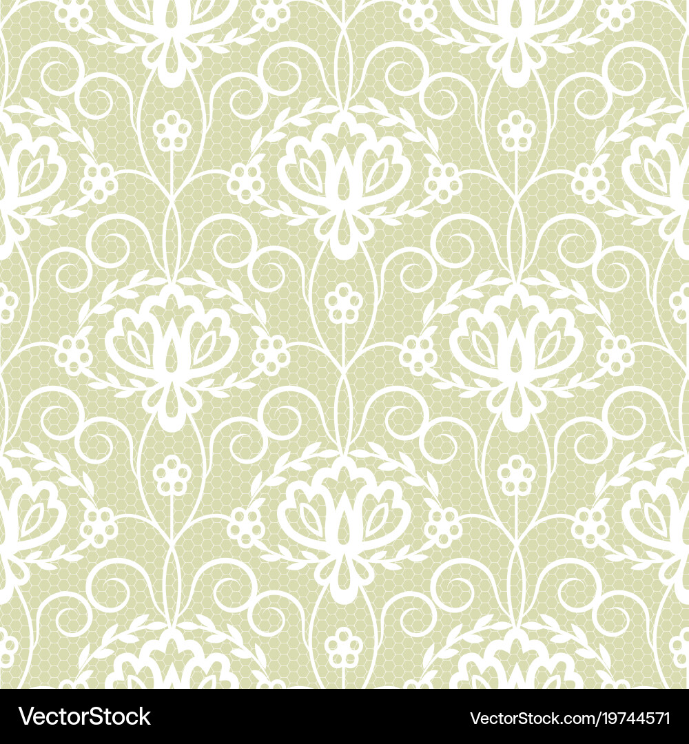 Elegant Floral Lace Background Vector Image