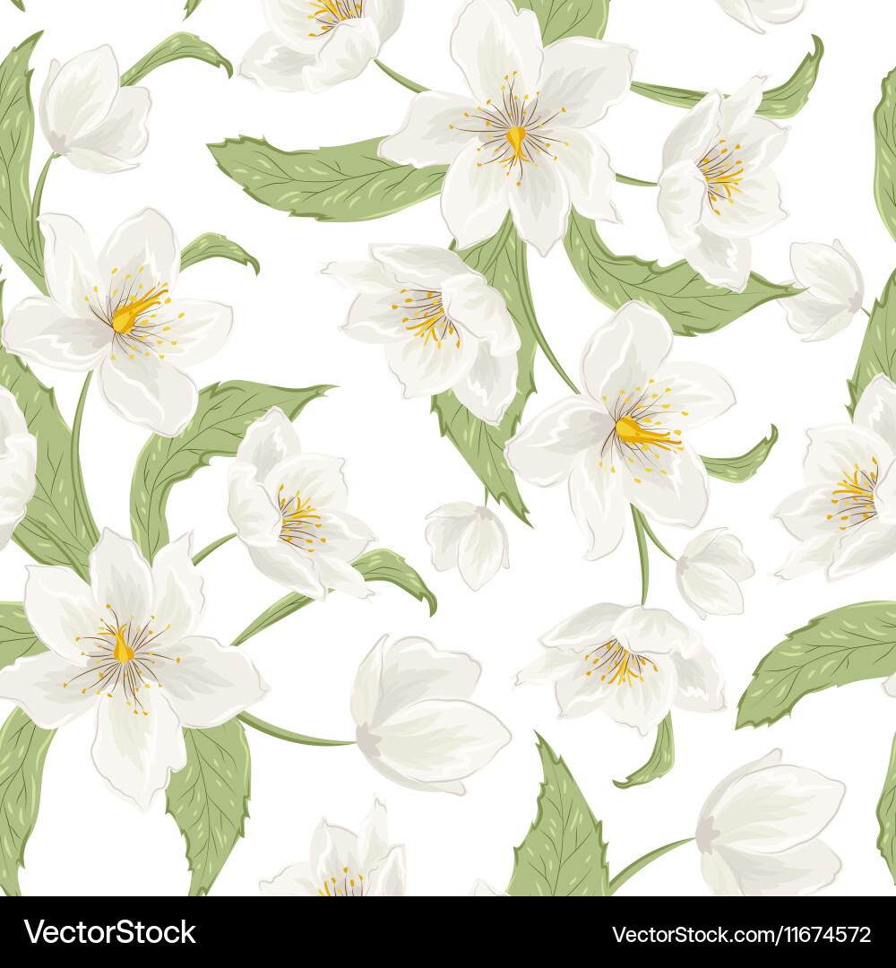 Hellebore Flower Watercolor Pattern Vector Image
