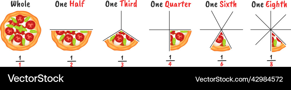 Pizza fractions slicing examples visual Pizza fractions slicing examples visual vector image